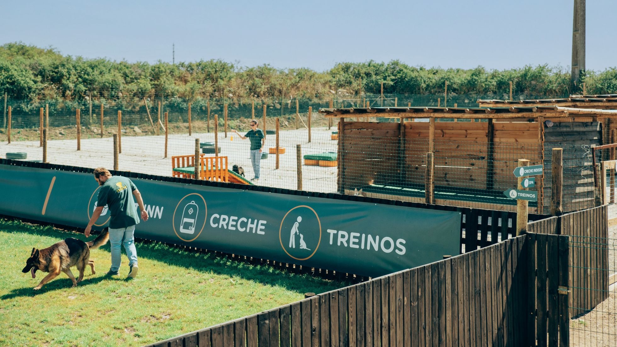 Treino canino